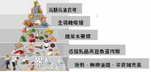 減重手術後飲食金字塔